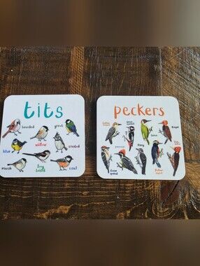 Humorous Bird Species Coasters - Orange & Multicolor Illustrated Set of 2